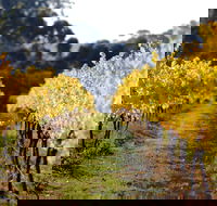 Prickly Moses Brewery - Tweed Heads Accommodation