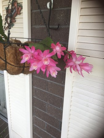 Stannifer ACT Tweed Heads Accommodation