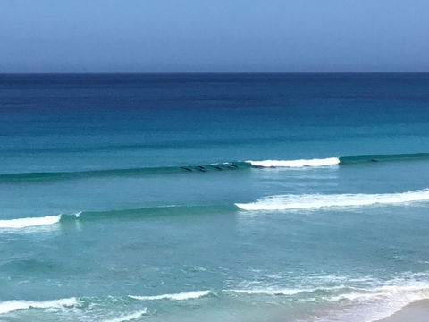 Beach Barista - Tweed Heads Accommodation 1