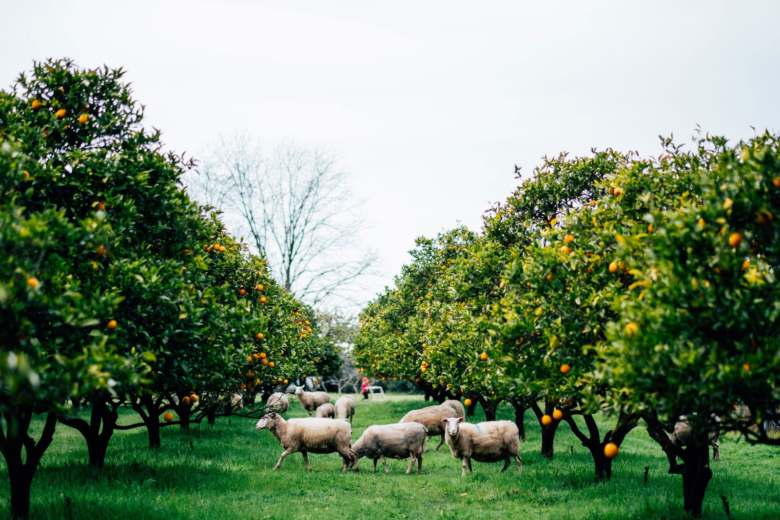  Tweed Heads Accommodation