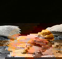 Sandwich Chefs - Tweed Heads Accommodation