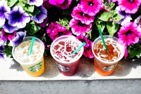 Starbucks - Mascot - Tweed Heads Accommodation 0