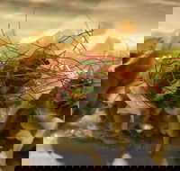 Tarana Indian Restaurant - Tweed Heads Accommodation