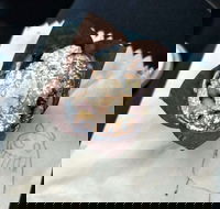 8th Nerve Cafe - Tweed Heads Accommodation