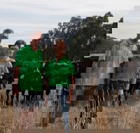 Milawa Organic Beef - Tweed Heads Accommodation