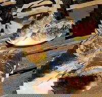 Perso - Tweed Heads Accommodation