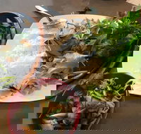 Thien An - Tweed Heads Accommodation