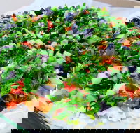 Campsie Lebanese Bakery - Tweed Heads Accommodation
