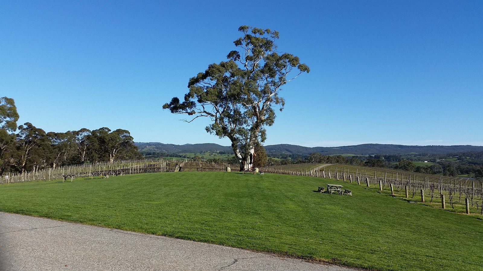  Tweed Heads Accommodation