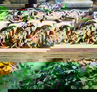 Salud Expresso Bar - Tweed Heads Accommodation