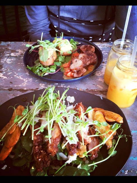 SHIN SEN Taiwanese & Japanese Cuisine - Tweed Heads Accommodation 0