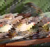 Vinorium Melbourne - Tweed Heads Accommodation