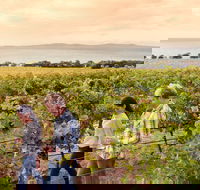 Boston Bay Wines - Tweed Heads Accommodation