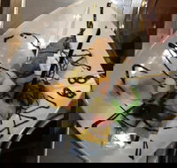 Indian Curry Place - Tweed Heads Accommodation