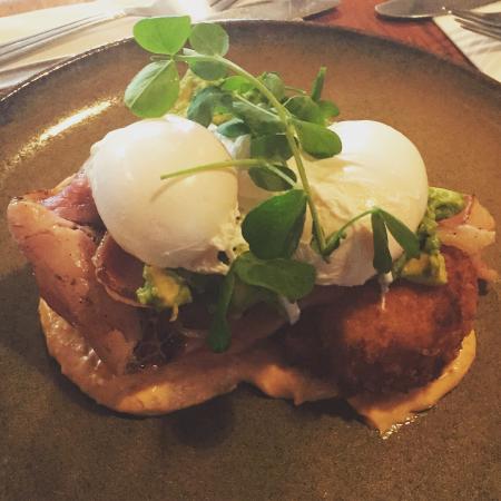 A Fan's Notes - Tweed Heads Accommodation 0
