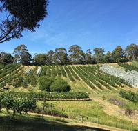 Cherrytime Orchard - Tweed Heads Accommodation