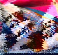 Donut King - Sunshine - Tweed Heads Accommodation