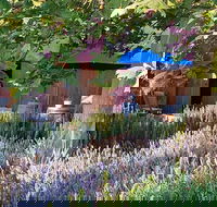 Macquariedale Organic Wines - Tweed Heads Accommodation