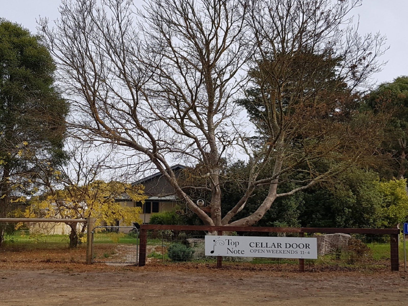 Paris Creek SA Tweed Heads Accommodation