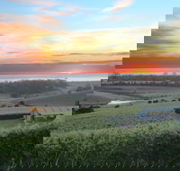 Cape Bernier Vineyard - Tweed Heads Accommodation