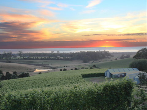 Cape Bernier Vineyard - Tweed Heads Accommodation 0