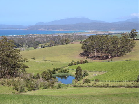 Cape Bernier Vineyard - Tweed Heads Accommodation 1