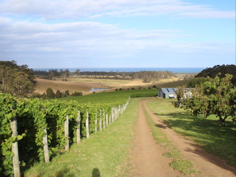 Cape Bernier Vineyard - Tweed Heads Accommodation 2