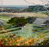 Green Door Winery Cellar Door - Tweed Heads Accommodation