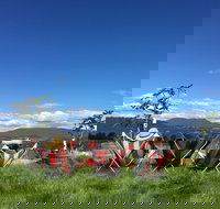 Red Feet Wines - Tweed Heads Accommodation