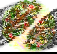Sumo Salad - Mascot - Tweed Heads Accommodation
