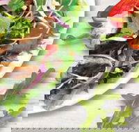 Sumo Salad - South Brisbane - Tweed Heads Accommodation