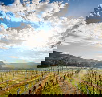 Fallen Giants Vineyard - Tweed Heads Accommodation