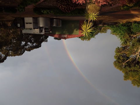 Clayfield Wines - Tweed Heads Accommodation 0