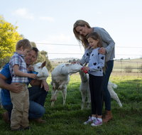 Sunhill Dairy Goats and Sunhill Skin Essentials - Tweed Heads Accommodation