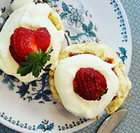 Cuisines - Tweed Heads Accommodation