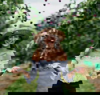 Cherryhill Orchards - Tweed Heads Accommodation