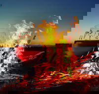 Black Dog Brewery - Tweed Heads Accommodation