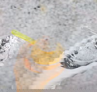 Mount Dandenong Hotel - Tweed Heads Accommodation