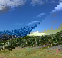 Freycinet Vineyard - Tweed Heads Accommodation