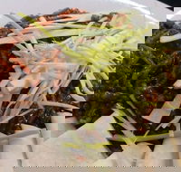 Rising Sun Hotel - Tweed Heads Accommodation