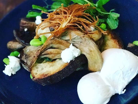 Toast Cafe - Tweed Heads Accommodation 0