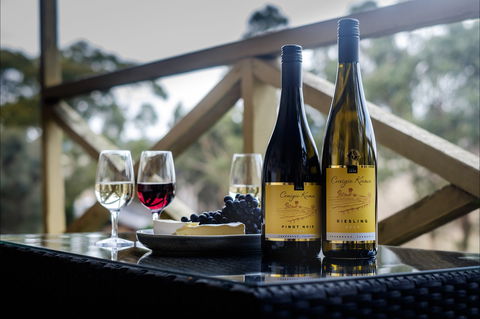 Craigie Knowe Vineyard & Cellar Door - Tweed Heads Accommodation 1