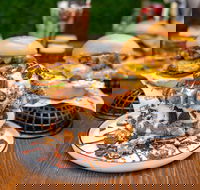 Day Kitty - Tweed Heads Accommodation