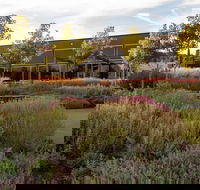 Barossa Valley Estate Cellar Door  Gardens - Tweed Heads Accommodation