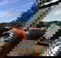 Massena - Tweed Heads Accommodation