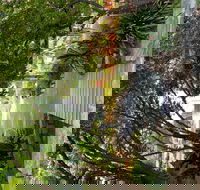 Velvet  Willow - Tweed Heads Accommodation