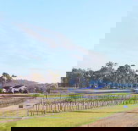 Blacklea Vineyard and Olive Grove - Tweed Heads Accommodation