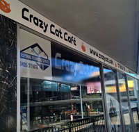 Crazy Cat Cafe - Tweed Heads Accommodation