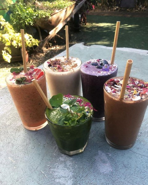 Garden Grub Cafe - Tweed Heads Accommodation 0