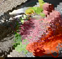 Cafe Rhubaba - Tweed Heads Accommodation